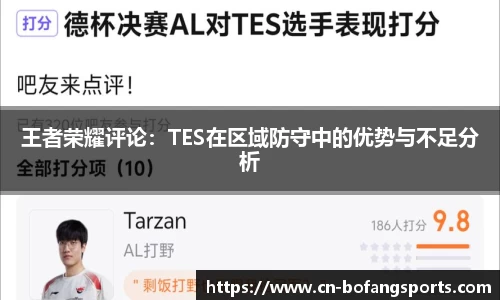 王者荣耀评论：TES在区域防守中的优势与不足分析