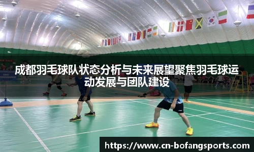 成都羽毛球队状态分析与未来展望聚焦羽毛球运动发展与团队建设