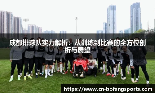 成都排球队实力解析：从训练到比赛的全方位剖析与展望